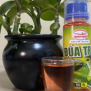 HƯƠNG LIỆU ĐŨA TRE Hùng Vương 100ml Câu Cá Chép, Trắm, Trôi, rô phi