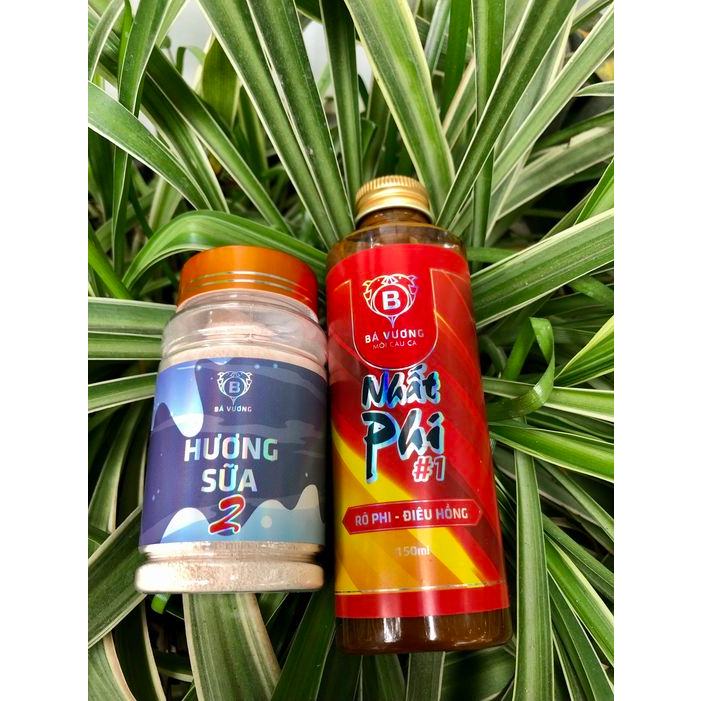 Nhất Phi Bá Vương- Bá Vương Fishing Câu Cá Rô Phi - Riêu Hồng Siêu Nhạy