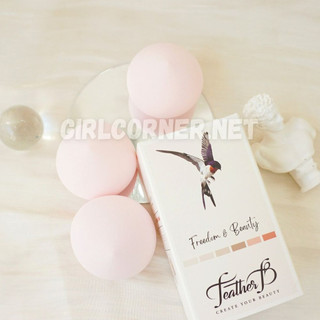 Bông Mút Trang Điểm Feather B Pony Sponge