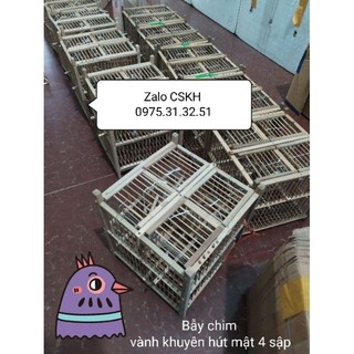 Bẫy chim vành khuyên tre già 4 sập