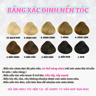Bát nhuộm tóc