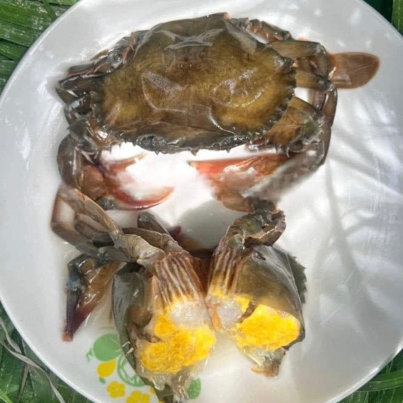 CUA LỘT MYANMAR SIÊU NGON. HỘP 1KG GIAO HOẢ TỐC