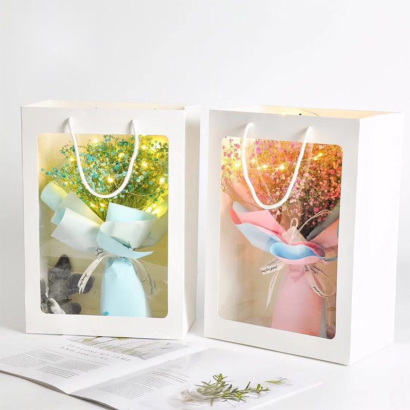 Combo 5 Túi cửa sổ mica 36x25x12cm