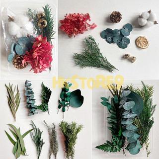 Hoa khô decor, hộp hoa lá khô trang trí, làm phụ kiện handmade