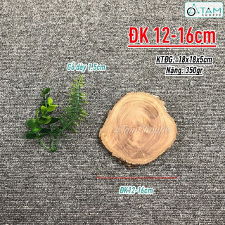 Lát gỗ trang trí ĐK 9-20cm W-LG-01