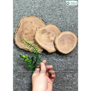 Lát gỗ trang trí ĐK 9-20cm W-LG-01