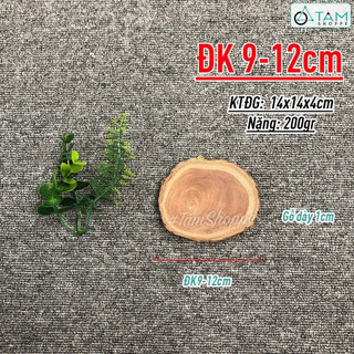 Lát gỗ trang trí ĐK 9-20cm W-LG-01
