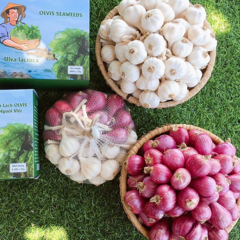 Combo Hành Tỏi Lý Sơn OLVIS 1KG (Đặc sản chính gốc từ đảo Lý Sơn)