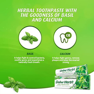 Kem Đánh Răng thảo dược Dabur Herbal - Húng Quế 155g