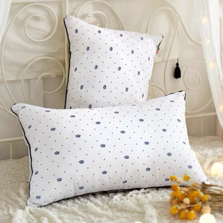 Ruột gối nằm. ruột gối hilton