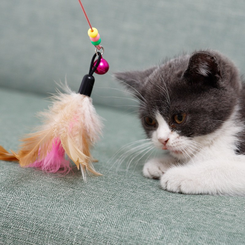 Đồ chơi cần câu mèo gắn lông vũ, đồ chơi que ngộ nghĩnh cho mèo, gậy mèo