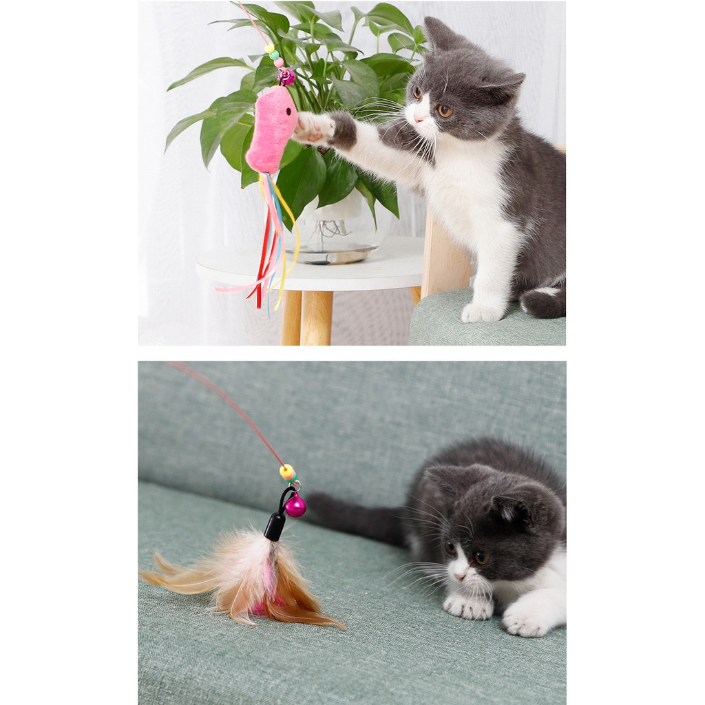 Đồ chơi cần câu mèo gắn lông vũ, đồ chơi que ngộ nghĩnh cho mèo, gậy mèo