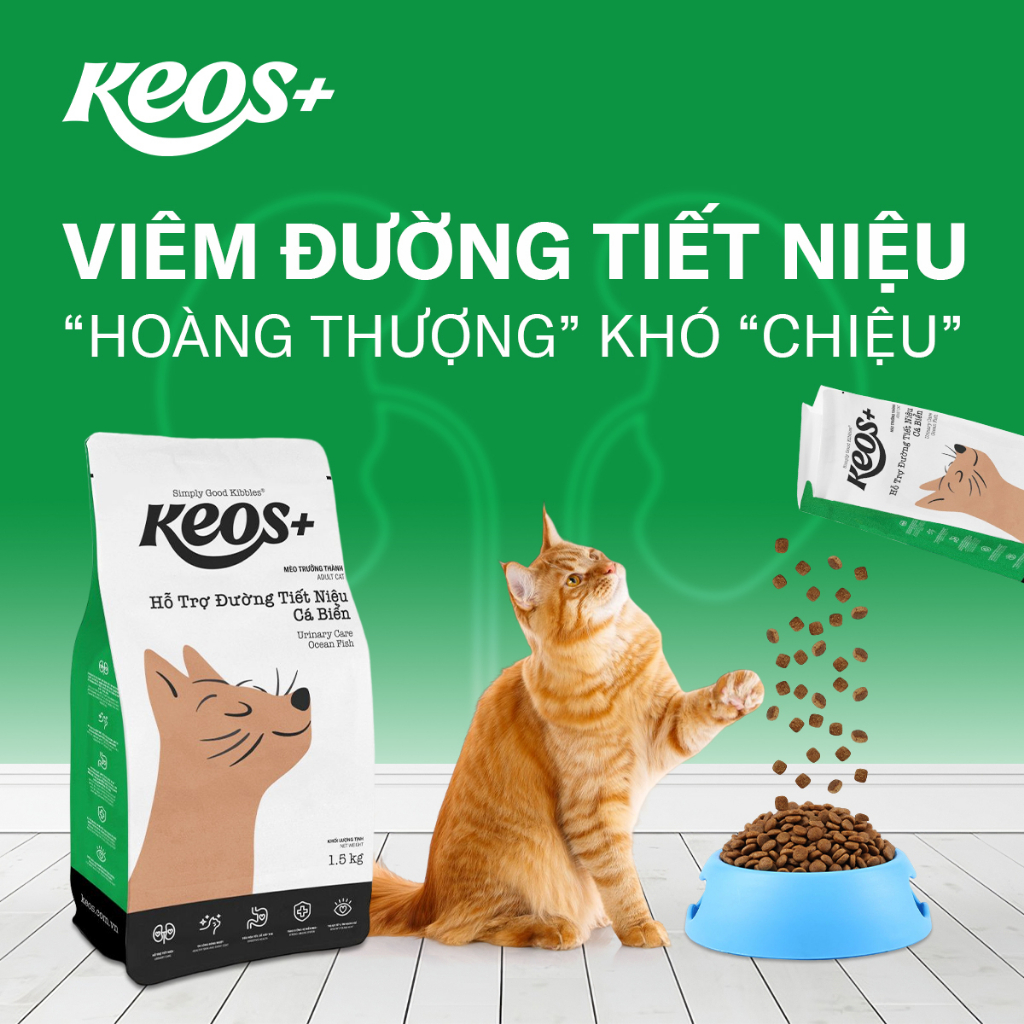 thức ăn hạt KEOS PLUS dành cho chó tiêu hóa kém và kém phát triển