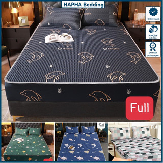 Chiếu điều hòa cao su non, chiếu cao su non cao cấp 1m6 1m8 2m2 1m6x2m 1m8x2m 2mx2m2