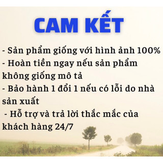 Đĩa xoay eo, dụng cụ xoay eo