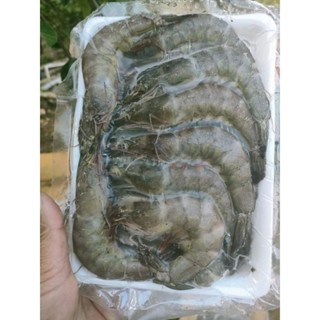 Tôm Nguyên con Khay 500g ❤CHỈ SHIP HÀ NỘI HOẢ TỐC ❤ Tôm tươi Cấp đông không chất bảo quản