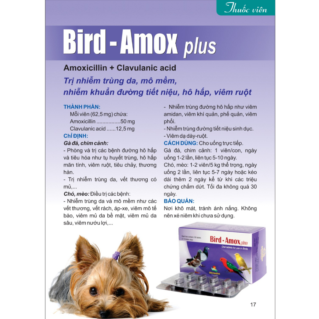 Bird Amox plus -  Các vấn đề nhiễm trùng da, mô mềm, nhiễm khuẩn đường tiết niệu, hô hấp - tiêu hóa
