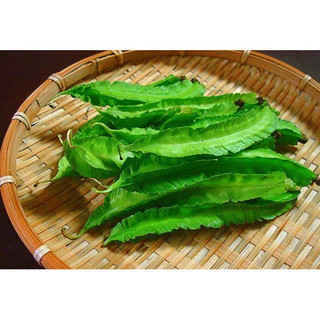 Hạt giống Đậu Rồng