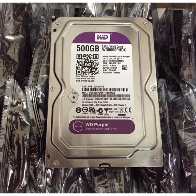 Ổ Cứng HDD 500GB/ 1TB / 2TB Western Purple  Bảo Hành 24 Tháng