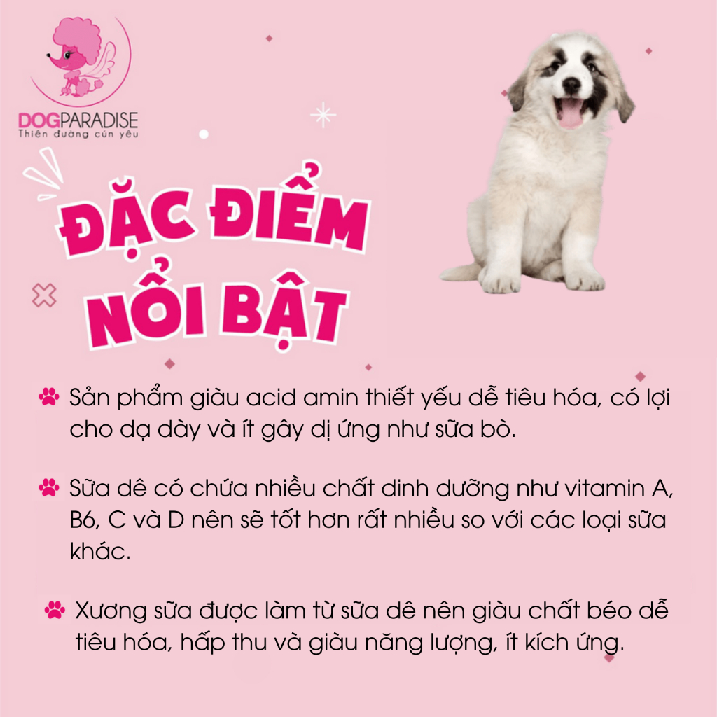 Viên Nhai Cho Chó Spirit For All Dogs Tăng Sức Đề Kháng, Hỗ Trợ Cải Thiện Các Vấn Đề Sức Khỏe Cho Thú Cưng Lọ 160 Viên