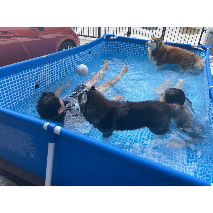 Bể bơi khung kim loại, kích thước 3m*2m*75 cm, bể bơi thành cao cho bé, đồ chơi vận động