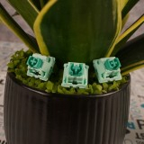 Switch FBB F3 Linear Linear 5 PIN - Có hỗ trợ Lube - ZOOPC | BigBuy360 - bigbuy360.vn