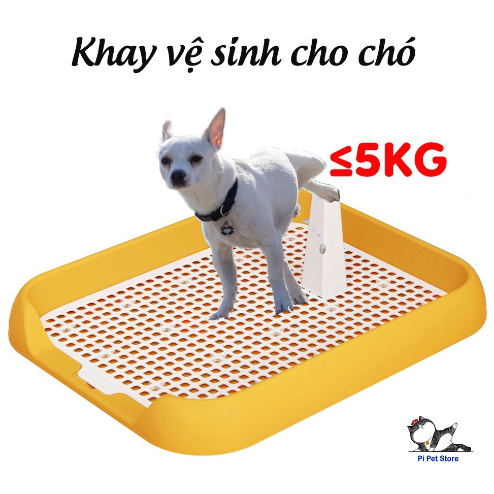 Khay vệ sinh cho chó nhỏ thành thấp - Khay vệ sinh cho cún 45x36x5.5cm