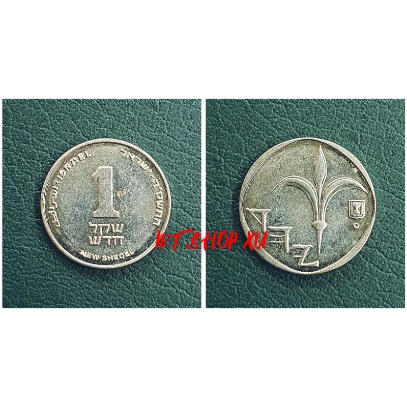 Đồng xu 1 New Sheqel - Israel ( 1994-2017 )