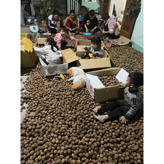Sale - 1kg hạt óc chó tách vỏ sẵn