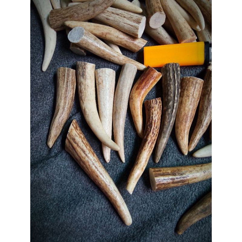 Sừng hươ..u  tự nhiên dùng cho chó gặm sạch răng