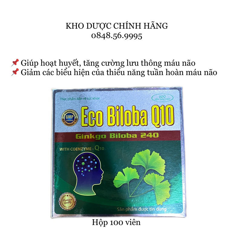 Bổ não HOẠT HUYẾT DƯỠNG NÃO Eco biloba Q10 - Ginkgo Biloba 240 - Cải thiện trí nhớ, tăng cường lưu thông máu lên não