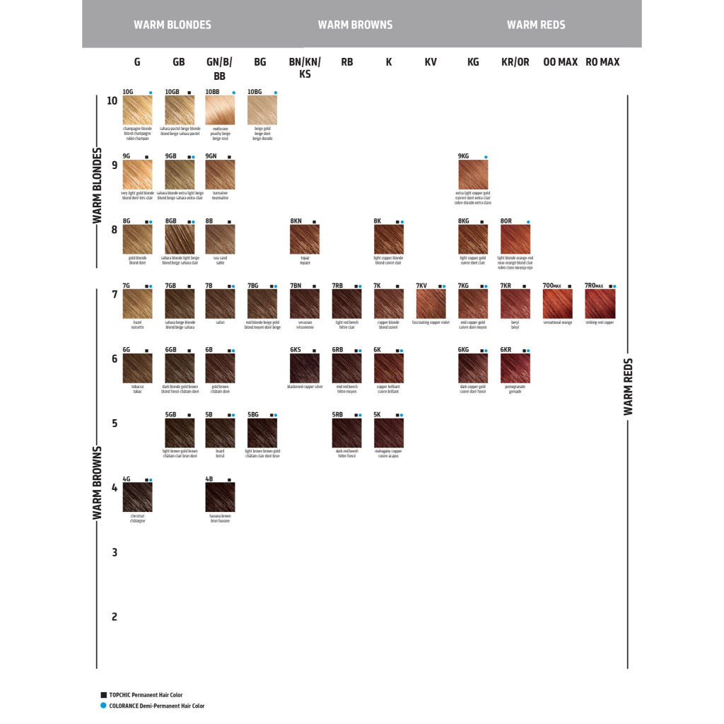 🇩🇪 Thuốc nhuộm thời trang cao cấp Goldwell Topchic Permanent Hair Color 250ml 🇩🇪