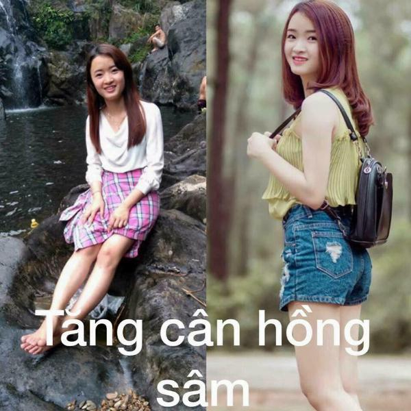 Viên hoàn tăng cân Hồng sâm thảo dược từ đông y hồng sâm chính hãng 100 viên nặng 1 kí