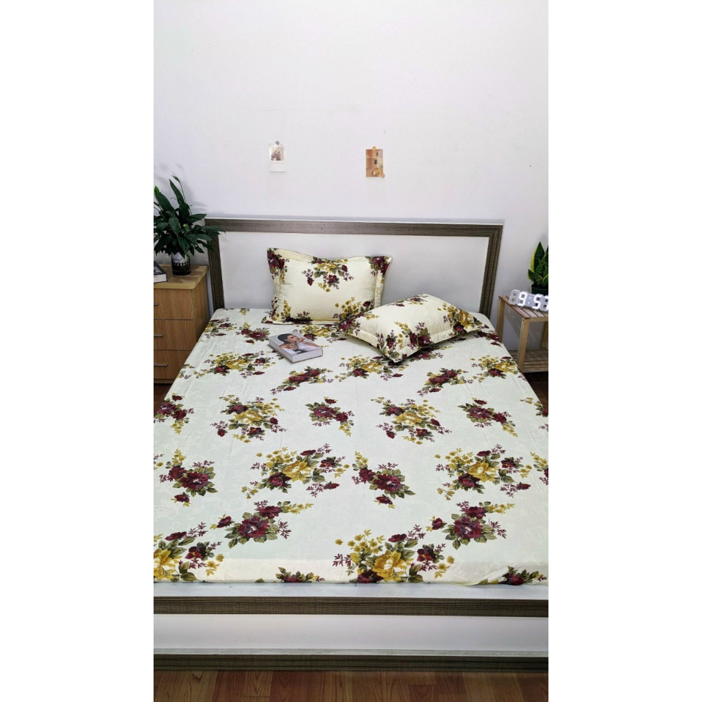 Bộ 3 sản phẩm ga gối trơn Alnena 1m6, 1m8 chĩnh hãng