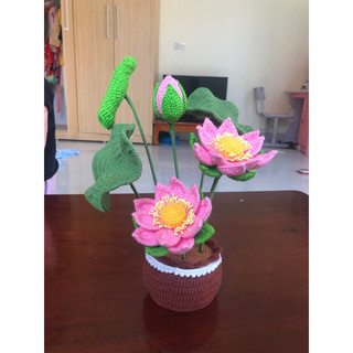 Hoa Sen bằng len handmade