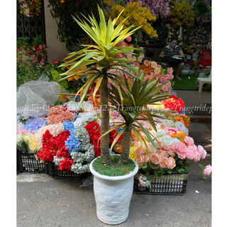 Cây giả decor cây phát tài núi cao1m4 trang trí decor nhà cửa, sân vườn bền đẹp