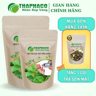Trà túi lọc dây thìa canh thaphaco