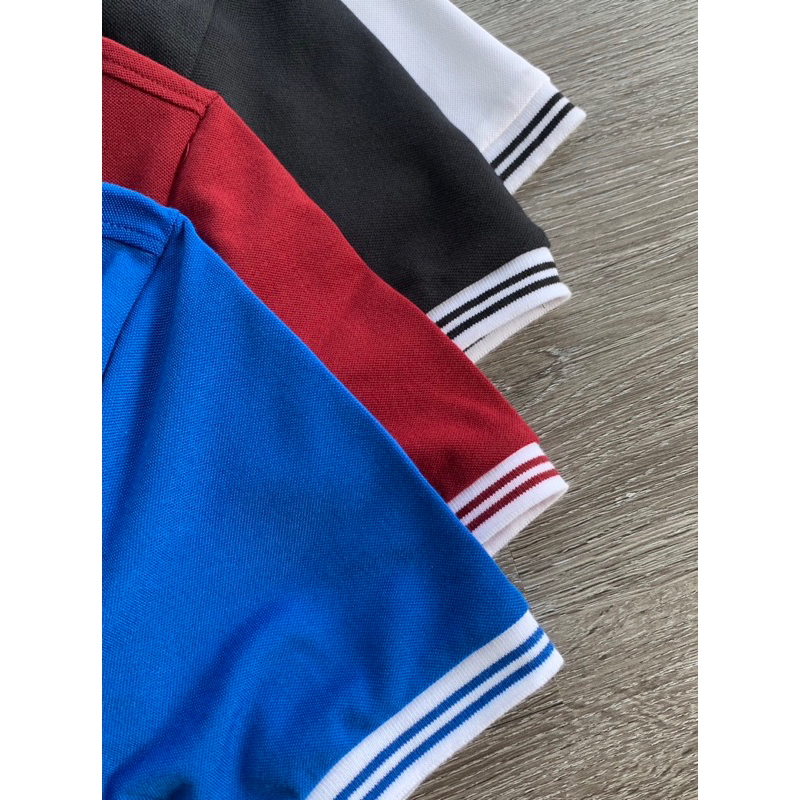 Polo Color TW Bear PWCB00027