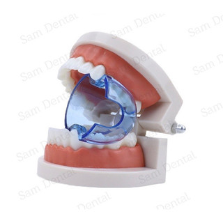 Cục cắn đa năng cục cắn nha khoa