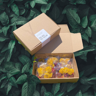 Set hoa cúc táo đỏ - hộp 10 túi