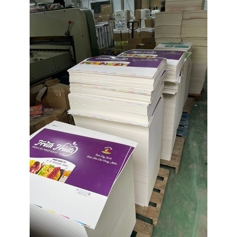Combo 10 Túi hoa quả, Trái cây  3kg -  KT