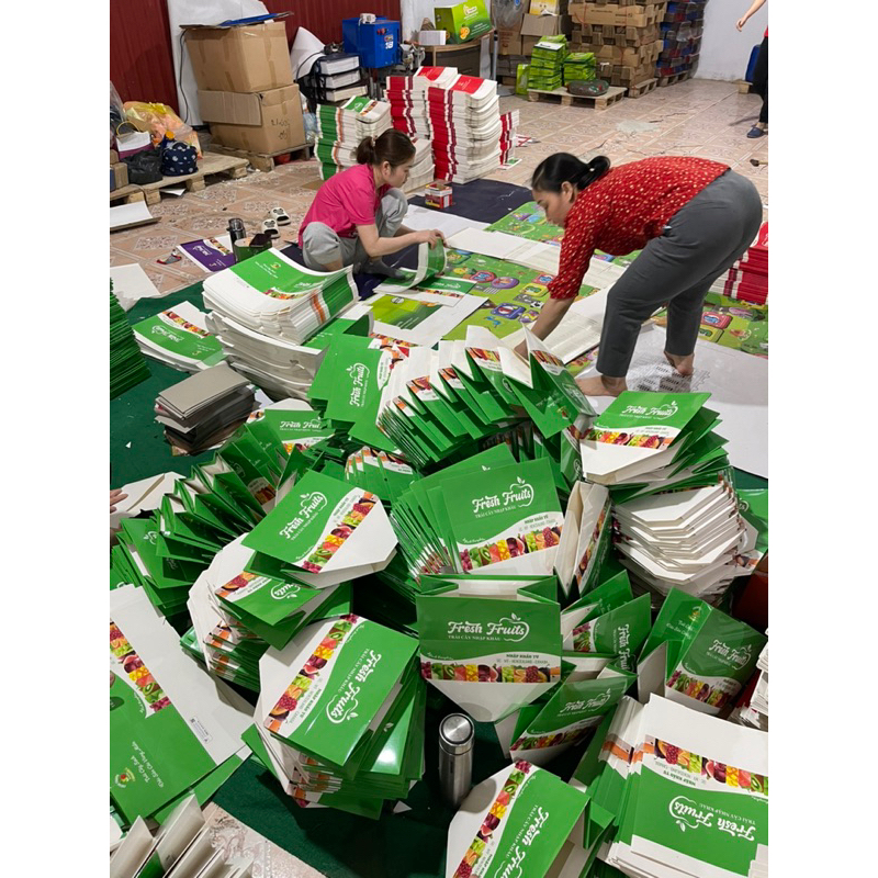 Combo 10 Túi hoa quả, Trái cây  3kg -  KT