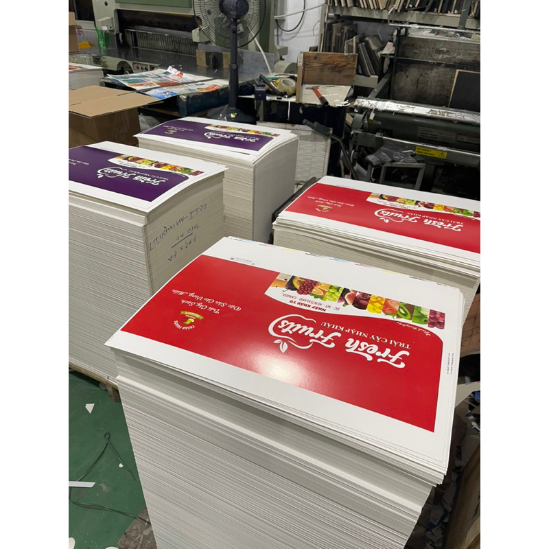 Combo 10 Túi hoa quả, Trái cây  3kg -  KT