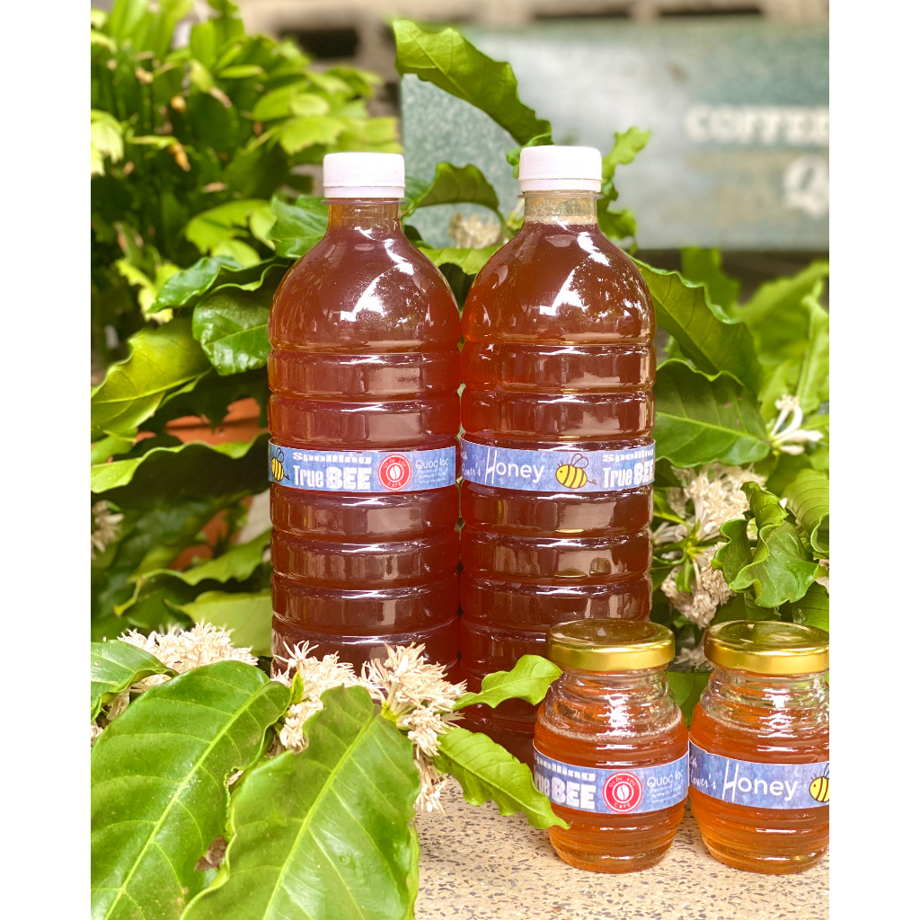 Mật ong hoa cà phê Arabica-1000ml