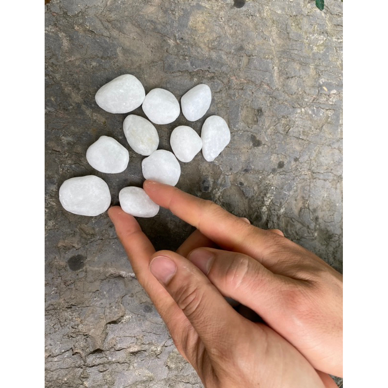 Trò chơi dân gian Cua cắp bỏ giỏ - 20 viên sỏi trắng - Thư Viện Đồ Chơi