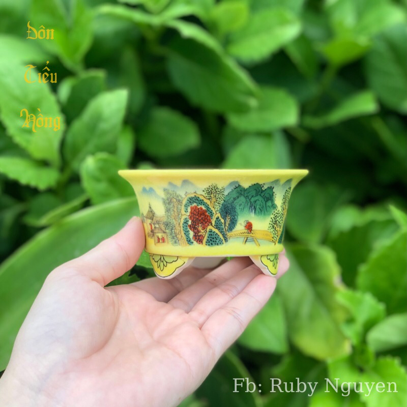 Chậu bonsai siêu mini, Chậu tàu mini