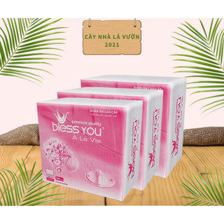 Giấy ăn rút bless you vuông