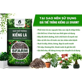  Giá thể trồng cây kiểng lá SFARM túi 20dm3   khoảng 8kg _ Đất giá thể trồng cây trộn sẵn 