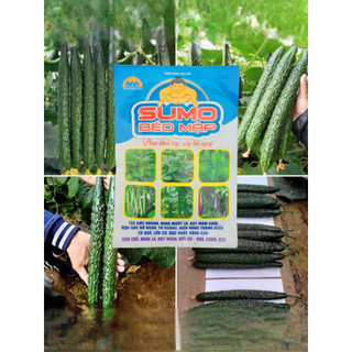 Phân bón Sumo béo mập- Bật chồi, mập thân, to quả, lớn củ, trái đẹp mã, nặng cân