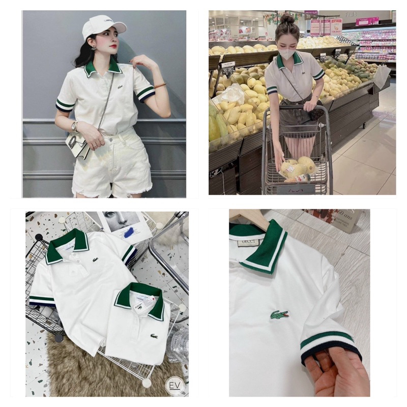 Áo Polo Nữ Trắng Cổ Xanh Hàng Thiết Kế, Áo Thun Nữ Polo Năng Động Cá Tính Hàng Xuất Dư / Hàng Nữ